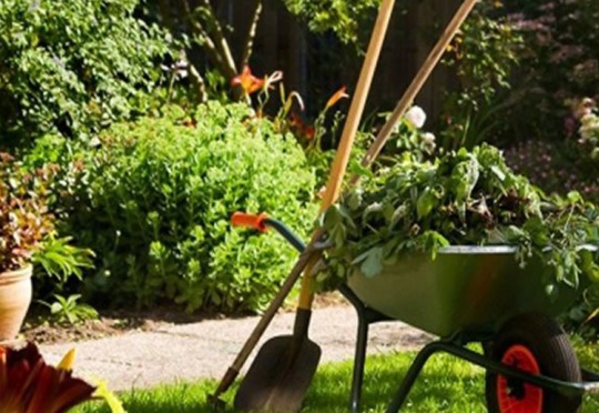 Peyzaj ve Bakım Hizmeti